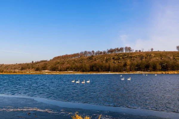 Hermoso paisaje de invierno, la tierra está cubierta de hielo —  Fotos de Stock