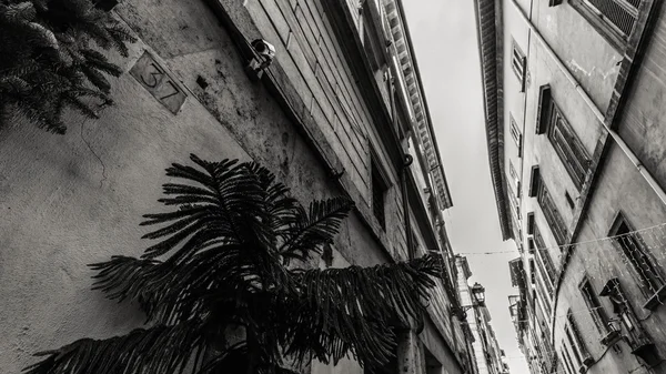 Roma - 6 Ocak: Güzel sokaklarında Roma 6, 2016 yılında Roma, İtalya.