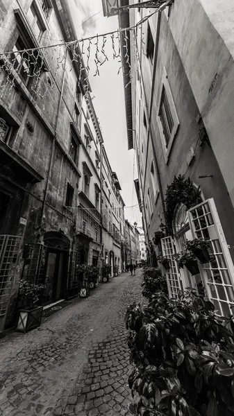 ローマ - 1 月 6 日: 6、ローマの美しい街 2016 年までローマ、イタリアに. — ストック写真