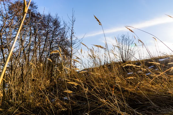 güzel kış gündoğumu Nehri üzerinde