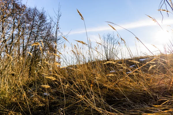 güzel kış gündoğumu Nehri üzerinde