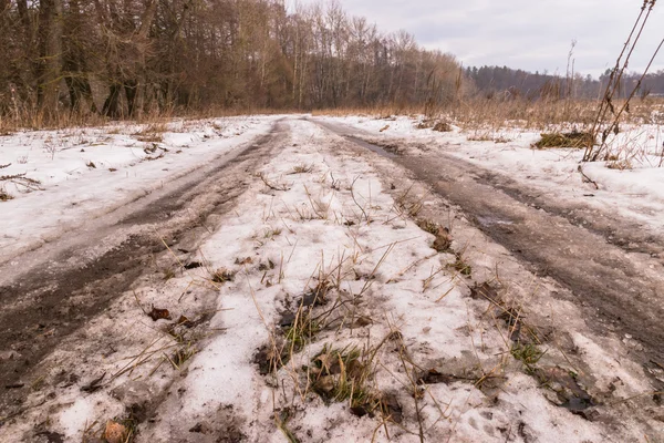 İnanılmaz kış manzarası. Güzel doğa.
