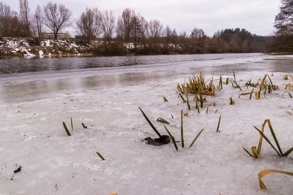 Hermoso paisaje de invierno, la tierra está cubierta de hielo — Foto de Stock