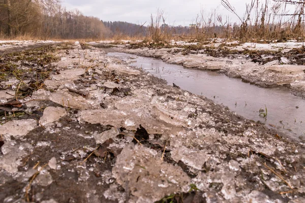 İnanılmaz kış manzarası. Güzel doğa.