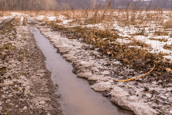 İnanılmaz kış manzarası. Güzel doğa.
