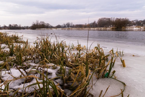 Hermoso paisaje de invierno, la tierra está cubierta de hielo —  Fotos de Stock