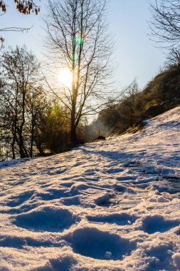 güzel kış gündoğumu Nehri üzerinde