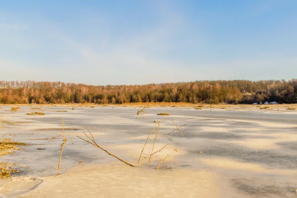 Hermoso paisaje de invierno, la tierra está cubierta de hielo —  Fotos de Stock