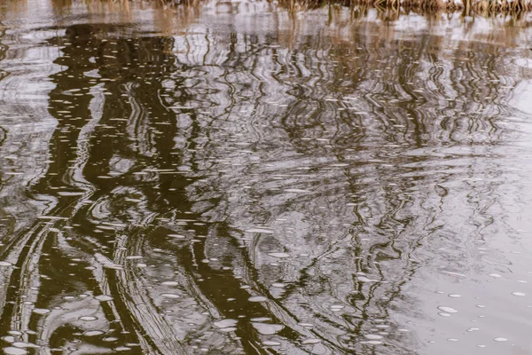 Pesca no rio.Um pescador com uma vara de pesca na margem do rio. Homem pescador pega um peixe.Pesca, carretel giratório, peixe, rios Breg. - O conceito de uma fuga rural. Artigo sobre pesca . — Fotografia de Stock