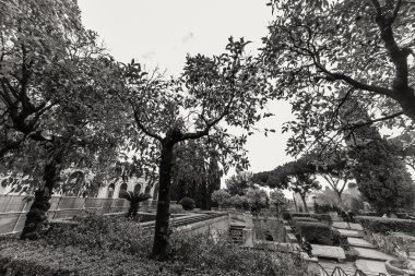 Roma - 13 Ocak: Roma Forumu Roma, İtalya görünümü üzerinde 13 Ocak 2016.