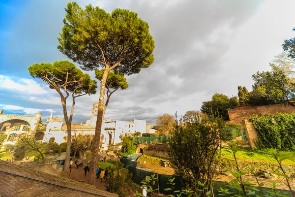 Increíbles ruinas del Foro Romano — Foto de Stock