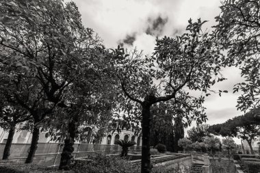 Roma - 13 Ocak: Roma Forumu Roma, İtalya görünümü üzerinde 13 Ocak 2016.