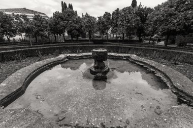 Roma - 13 Ocak: Roma Forumu Roma, İtalya görünümü üzerinde 13 Ocak 2016.