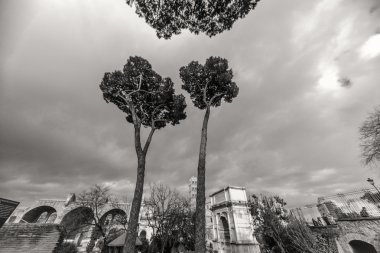 Roma - 13 Ocak: Roma Forumu Roma, İtalya görünümü üzerinde 13 Ocak 2016.