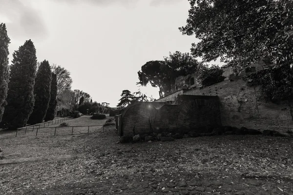 ROMA - 13 de enero: Vista del Foro Romano el 13 de enero de 2016 en Roma, Italia . —  Fotos de Stock