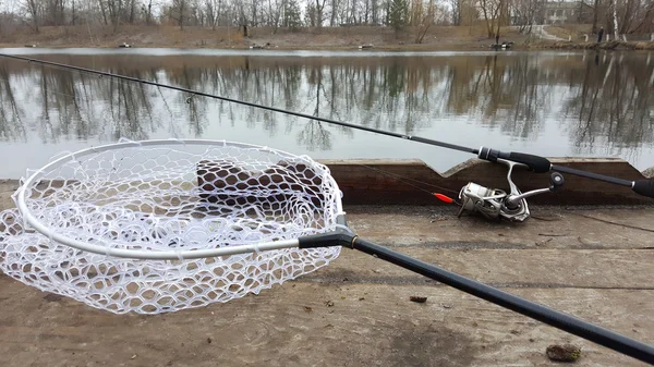 Trota da pesca. Pesca alla trota sul lago. Trota pescata . — Foto Stock