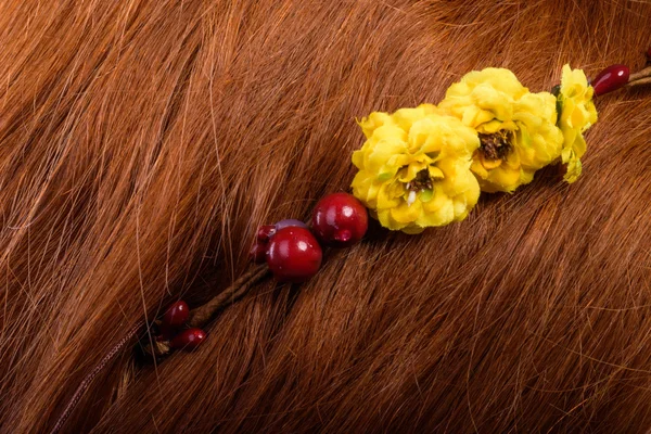 Hermosa corona en su cabello — Foto de Stock