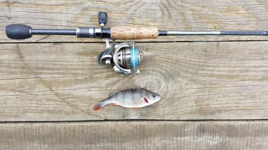 Balık tutma, iplik üzerinde Balık tutma levrek.