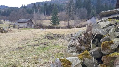 Muhteşem dağ manzarası. Karpat manzara