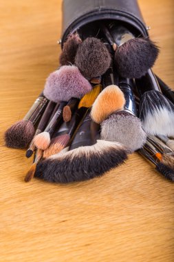 Makyaj tablo için fırçalar
