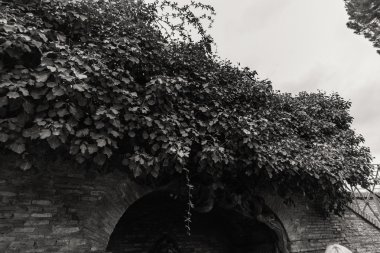 Roma - 6 Ocak: Sokaklar, Roma, Antik Roma 6, 2016 yılında Roma, İtalya.