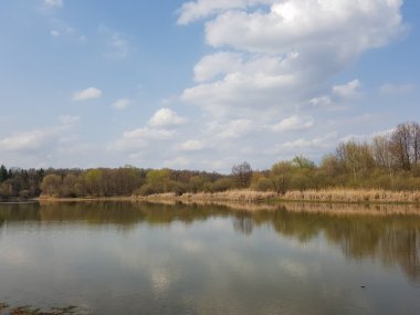 Muhteşem manzara göl kenarında. Kaplumbağa