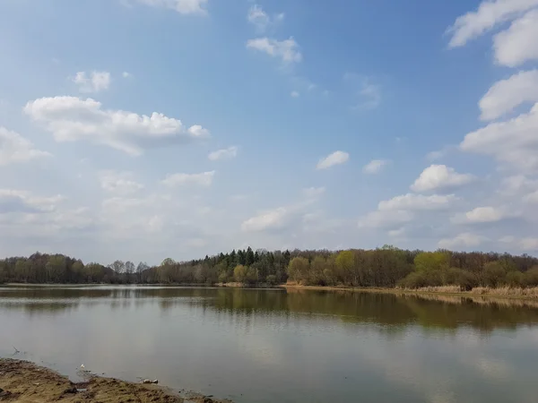 El magnífico paisaje en el lago. Tortuga —  Fotos de Stock