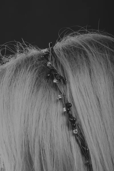 Corona de pelo. Foto en blanco y negro — Foto de Stock