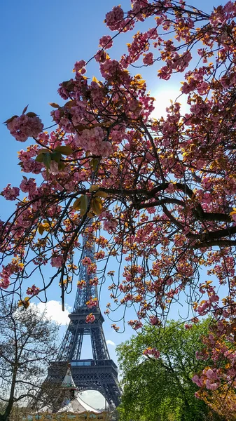 에펠 탑의 아름 다운 보기 — 스톡 사진