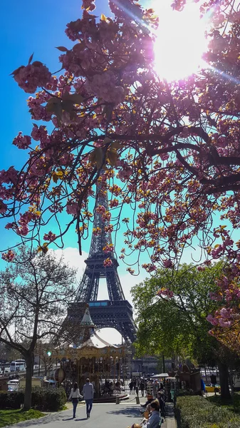 Beautiful view of the Eiffel Tower — Stock Photo, Image