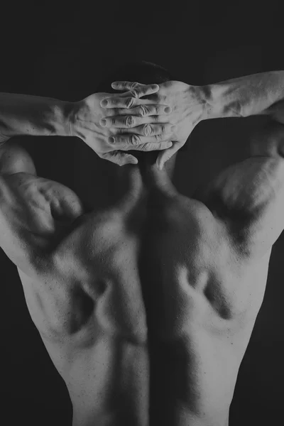 Beautiful muscular body on black — Stock Photo, Image