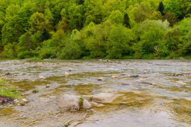 Güzel dağ nehir, muhteşem bir manzara