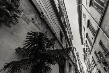 Güzel, güzel, antik Roma sokaklarında