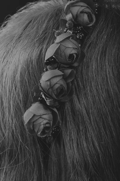 Jolie brune avec une couronne dans les cheveux, photo noir et blanc — Photo