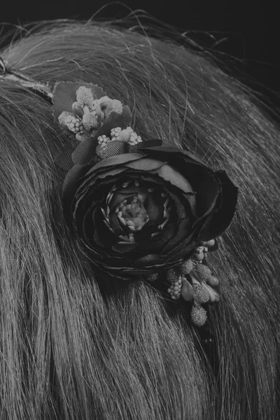 Morena bonita com uma coroa de flores no cabelo, foto em preto e branco — Fotografia de Stock