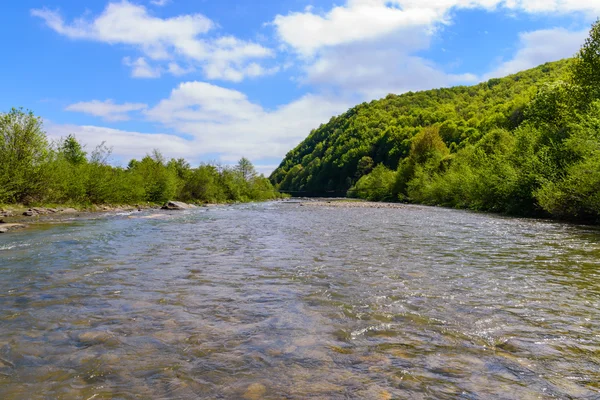 Superbe paysage sur la rivière de montagne. Vacances d'été et holi — Photo