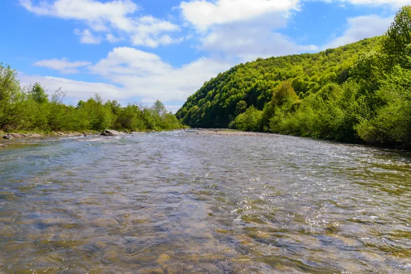 Superbe paysage sur la rivière de montagne. Vacances d'été et holi — Photo