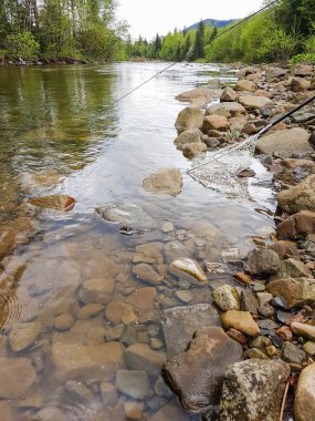 Muhteşem sahne dağ Nehri üzerinde. Yaz tatil ve bayram