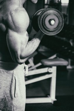 Spor salonunda dumbbells ile bir meslek. Güçlü adam dumbbells ile