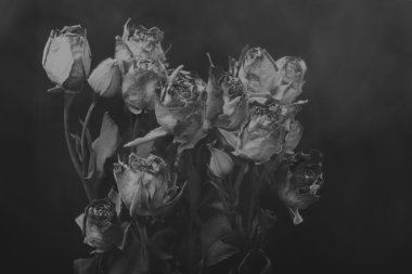 Duman, siyah ve beyaz yaratıcı fotoğraf kuru gül
