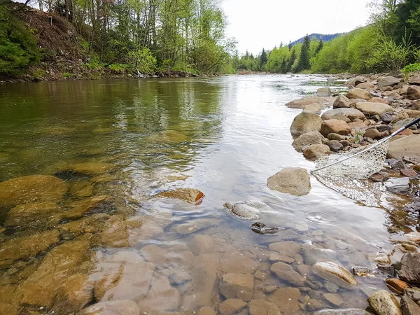 Superbe paysage sur la rivière de montagne. Vacances d'été et holi — Photo