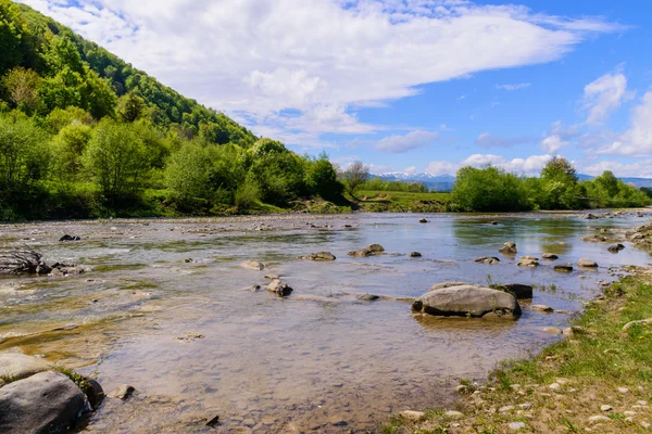 Muhteşem sahne dağ Nehri üzerinde. Yaz tatil ve bayram