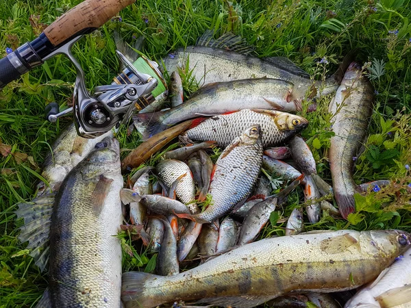 Good catch fisherman. Active outdoor recreation. — Stock Photo, Image