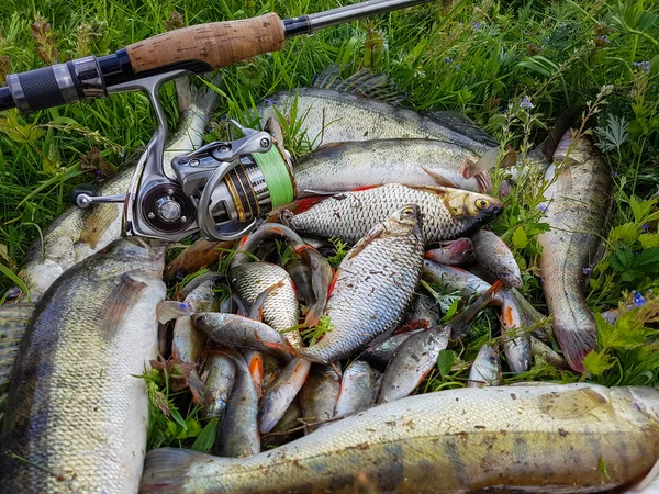 God fångst fiskare. Aktivt friluftsliv. — Stockfoto