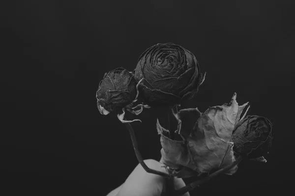 Dry rose in the smoke, black and white creative photo — Stock Photo, Image