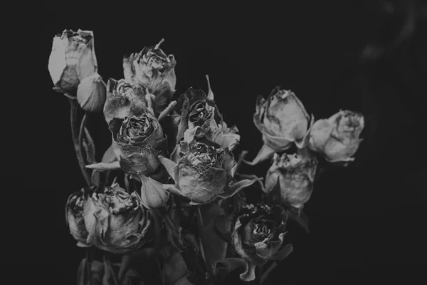Rose sèche dans la fumée, photo créative noir et blanc — Photo