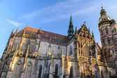 Katedrála st. Alžběty v Košicích, Slovensko