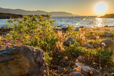 Akşam denizde güzel gün batımı kayalar ön planda