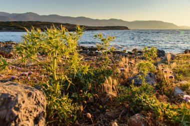 Akşam denizde güzel gün batımı kayalar ön planda
