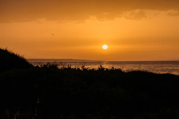 O magnífico pôr do sol à beira-mar — Fotografia de Stock
